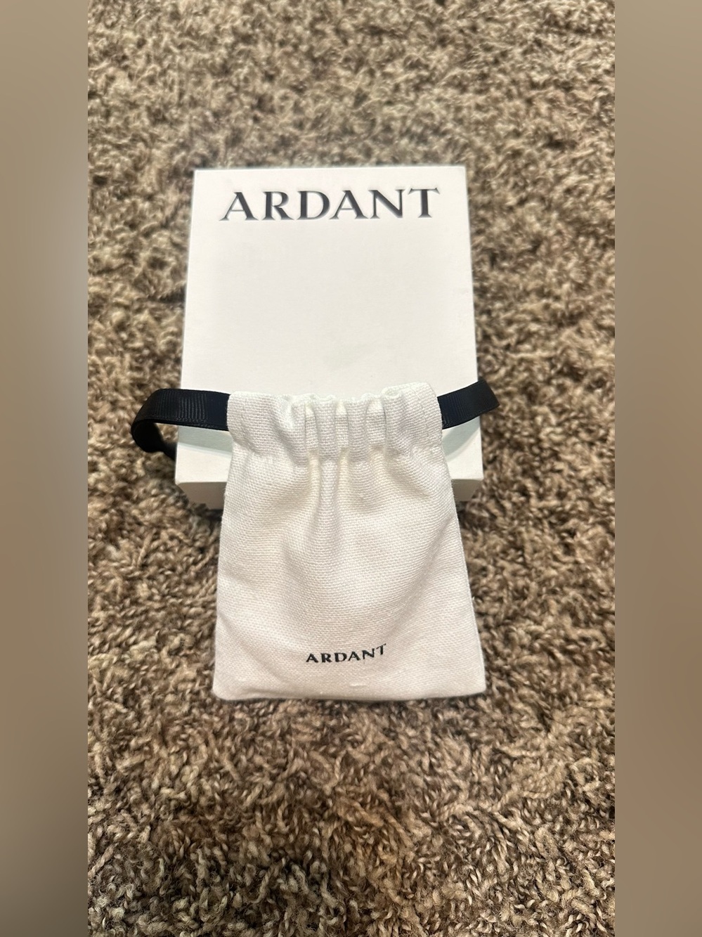 Womens ARDANT Stay Close Hoops Set Gold Earrings